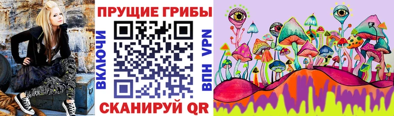 Псилоцибиновые грибы GOLDEN TEACHER  Купить закладки  Чёрмоз 